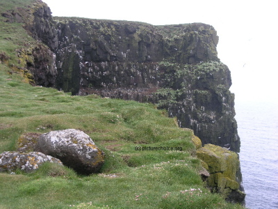 Latrabjarg Westfjords Vestfirðir Iceland