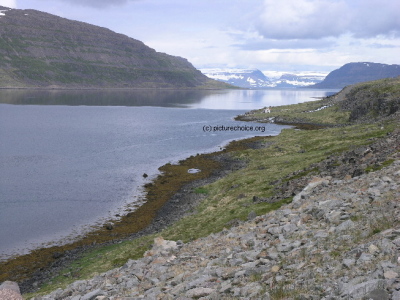 Westfjorde Vestfirðir Iceland