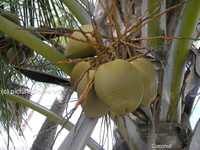 Dominican Republic (RD)